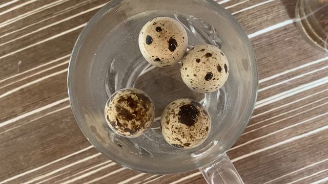 14 день инкубации. Тест яиц в теплой воде смотреть онлайн