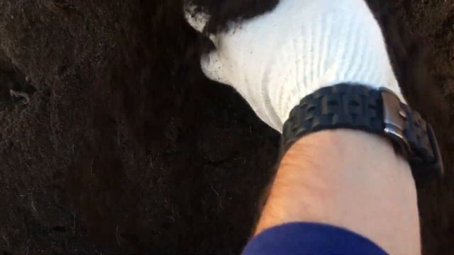 Земля с полей отличного качества в мешках по 40кг смотреть онлайн