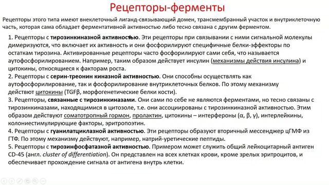 Биохимия. Лекция 24. Гормоны. 1 часть. смотреть онлайн