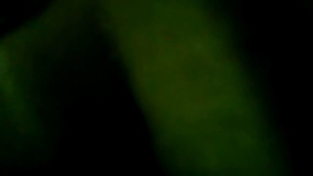 Приветствие с киви смотреть онлайн