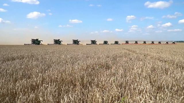 Губернатор заложил камень на месте строительства элеватора смотреть онлайн