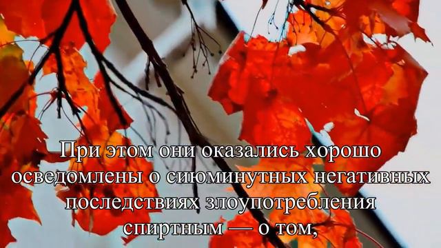 Женщин среднего возраста упрекнули в рискованном поведении — Статья смотреть онлайн