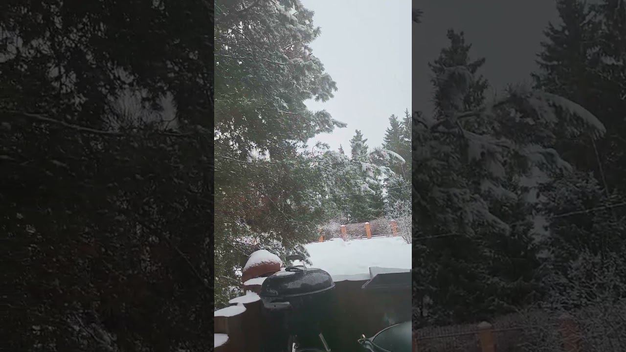 плов в казане 2023 смотреть онлайн