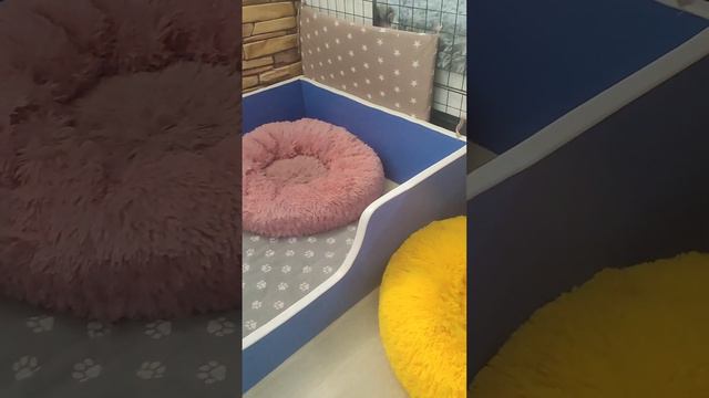 Продажа😃Питомник Йорк & Шпиц.Elite Pets,Крым, Евпатория +79788972514 Доставка возможна 🥰 смотреть онлайн