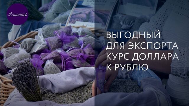 ЛАВАНДЕЛЬ | БИЗНЕС ПО ВЫРАЩИВАНИЮ ЛАВАНДЫ И ПРОИЗВОДСТВУ ЭФИРНОГО МАСЛА смотреть онлайн