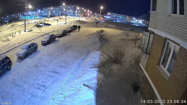 Работа сотрудников в Каменске-Уральском 14 03 2022 часть 1 смотреть онлайн