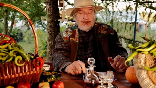 С.В. Савельев - Мухи перколяции смотреть онлайн