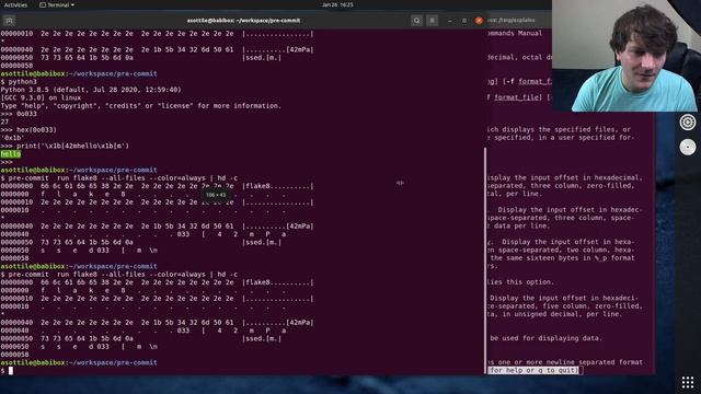 showing actual file bytes with hexdump (beginner - intermediate) anthony explains #224 смотреть онлайн