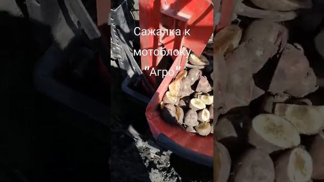 Сажаем картофель сажалкой. смотреть онлайн