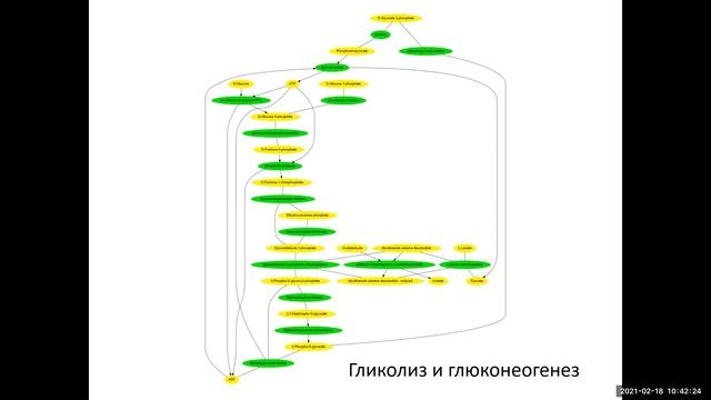 Sys Bio 2021 Lectures 5 and 6 смотреть онлайн