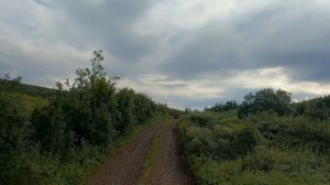 В погоне за квадроциклом «Секач»