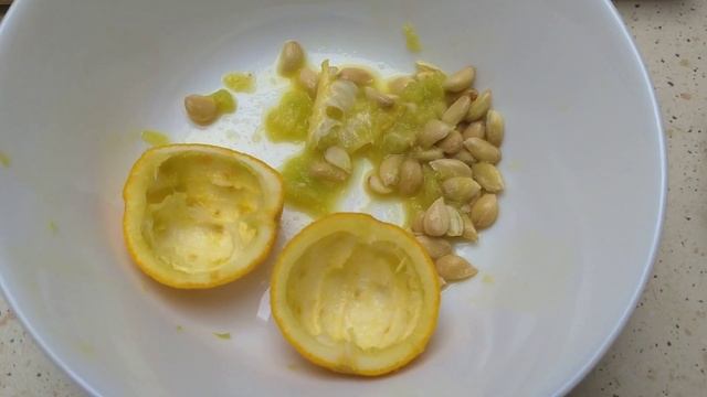 Flying Dragon Oranges - Cold Hardy Citrus - Poncirus Trifoliata смотреть онлайн