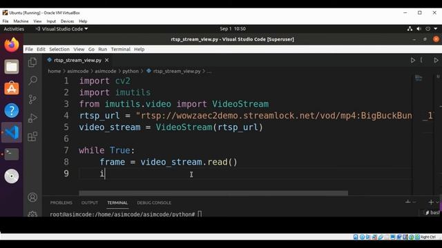 View RTSP Stream from IP Camera, Live video streaming over the network with OpenCV in Python смотреть онлайн