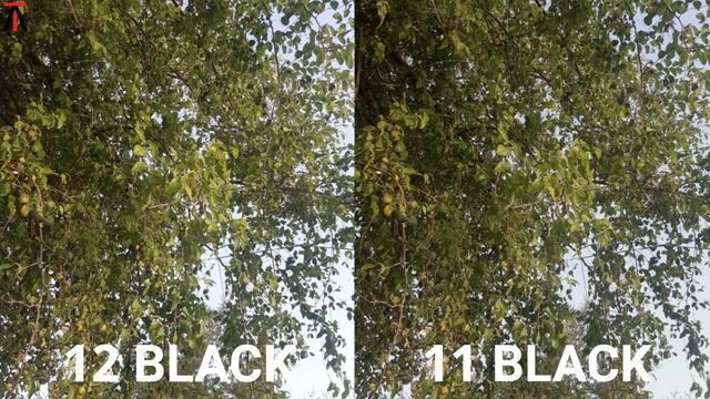 Gopro Hero 12 Black Vs Gopro 11 Black | Camera Test Comparison