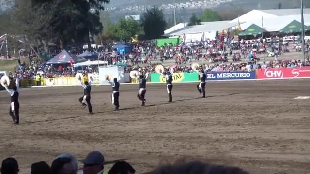 Сентябрь шоу лошадей 2011 Caballos, horses show. Septebrer 2011 смотреть онлайн