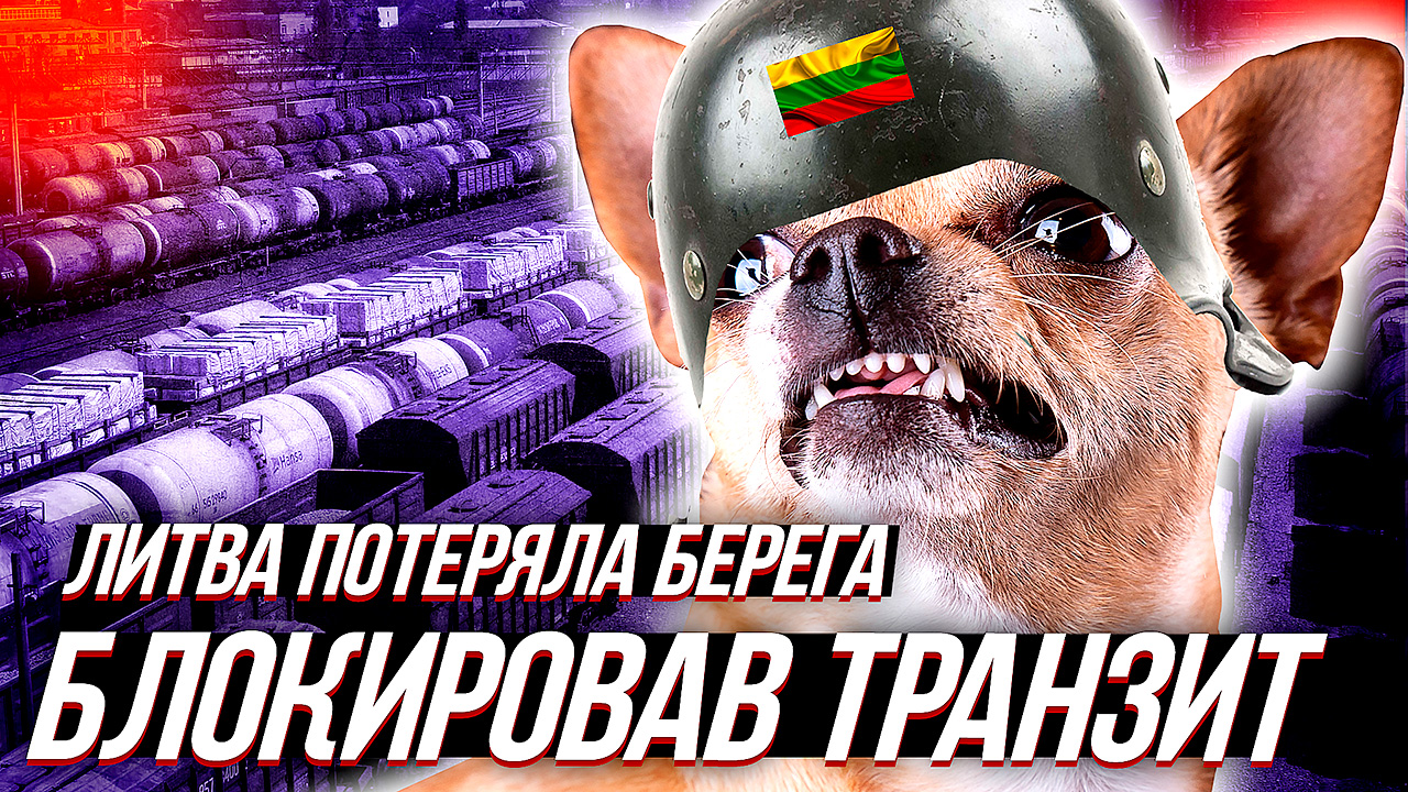 ЛИТОВСКИЕ ШАВКИ "ПОТЕРЯЛИ БЕРЕГА" и заблокировала транзит в Калининград. смотреть онлайн