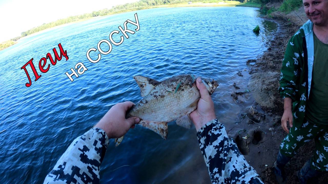 Поймал хорошего ЛЕЩА на соску и крупную ЧЕХОНЬ на гирлянду смотреть онлайн