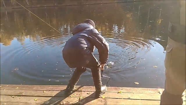 Поимки форели на нижнем. Клёвое место, Лосиный остров. смотреть онлайн