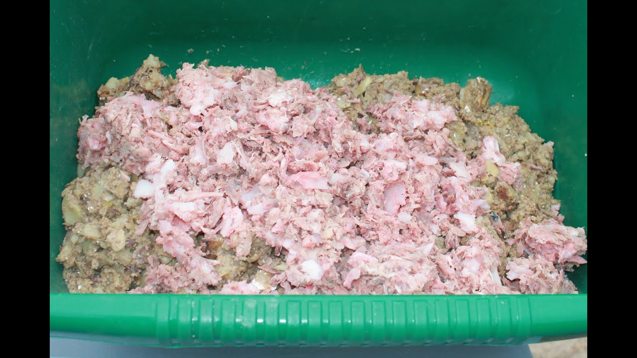 ВАКЦИНАЦИЯ ПОДГОТОВКА КУР. ЗООТЕХНИЯ В МАССЫ. смотреть онлайн