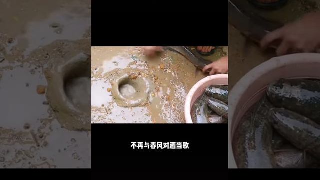 Кто скажет это где. ПОДПИШИСЬ и поставь свой щедрый 👍🏻 смотреть онлайн