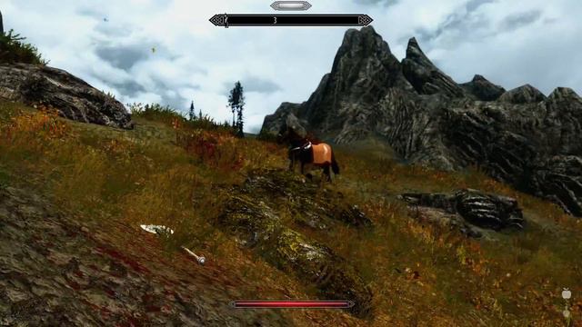 Прохождение The Elder Scrolls V Skyrim Соратники | №7