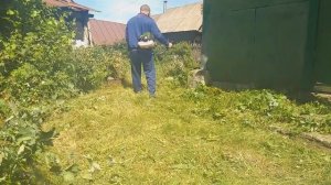 Бензотриммер на масле Автол  (м8 в) в работе