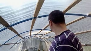 простая теплица своими руками