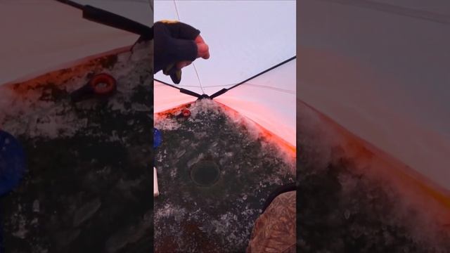 КРУПНАЯ ПЛОТВА на МОРМЫШКУ! смотреть онлайн