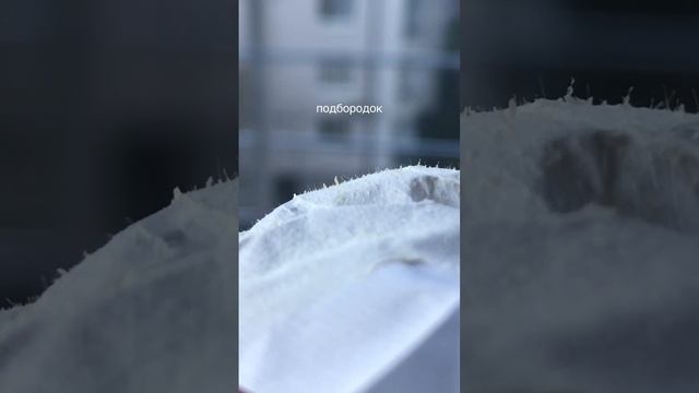 НУ ЭТО ЛЕГЕНДА! Обычная цена-690 р. Средство от угрей и чёрных точек Lanbena Nose Plants Pore Strip смотреть онлайн