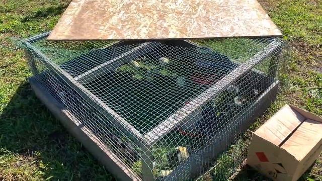 #414 ЖИЗНЬ В ДЕРЕВНЕ - ЭТО КАЙФ! Уехали из Москвы на Кубань. смотреть онлайн