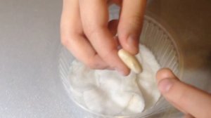 Как вырастить фасоль