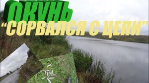 Рыбалка на лайтовый спиннинг ! Окуневый жор! Поклевки, чуть-ли не на каждой проводке!