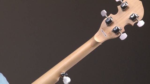 Goldtone AC 5 Banjo смотреть онлайн