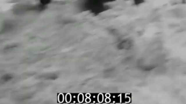XXV Мотокросс в Коврове. 1981 смотреть онлайн