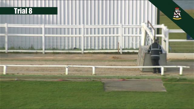 Towcester Greyhound Racing Live Trial Session 16/1/22 смотреть онлайн