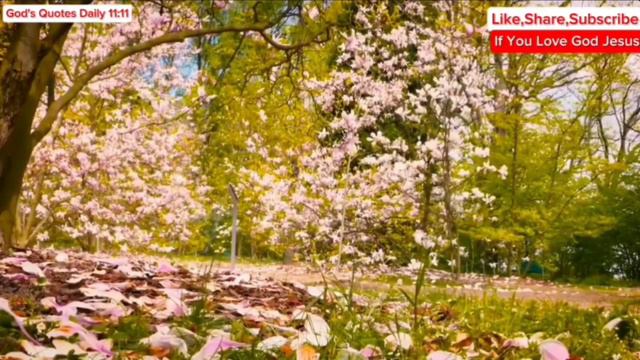 11:11😇God Says, Someone Close To Your Heart Is Sending This Message From Heaven | God Message Today смотреть онлайн