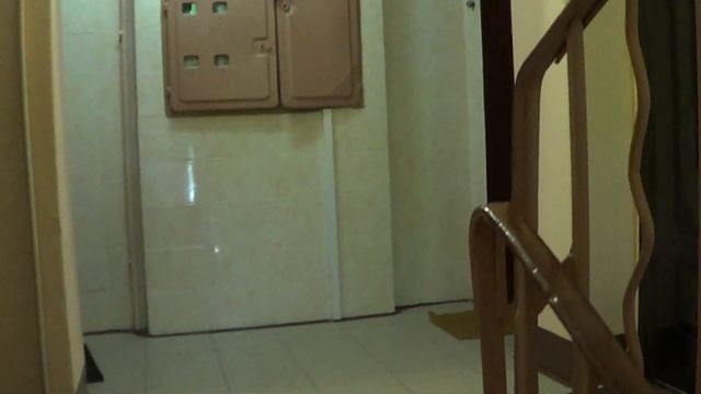 remont v podezde смотреть онлайн