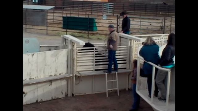 The Pickup смотреть онлайн