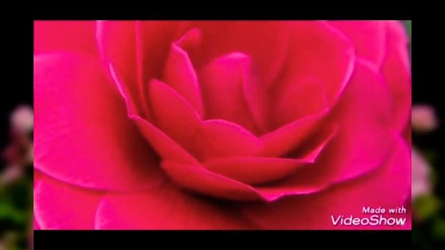 НИКТО НЕЗНАЕТ НАПЕРЕД смотреть онлайн