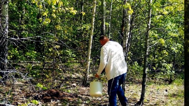 теплый весенний день смотреть онлайн