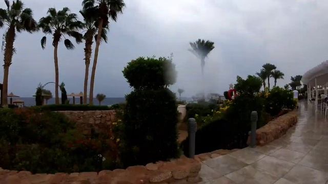 Территория отеля Monte Carlo Sharm El Sheikh Resort. смотреть онлайн