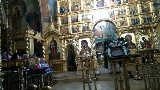Воскресная проповедь отца-настоятеля Николая в неделю Цветоносную. смотреть онлайн