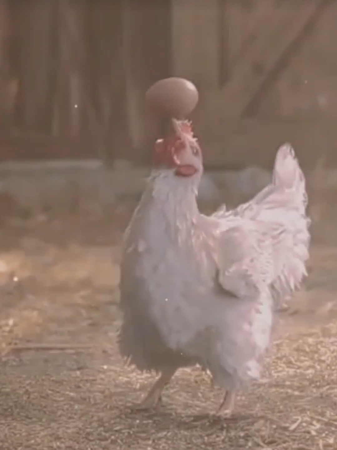Kungfu chicken's show time смотреть онлайн