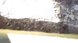 Как делать покровку   покровочный грунт для выращивания шампиньонов