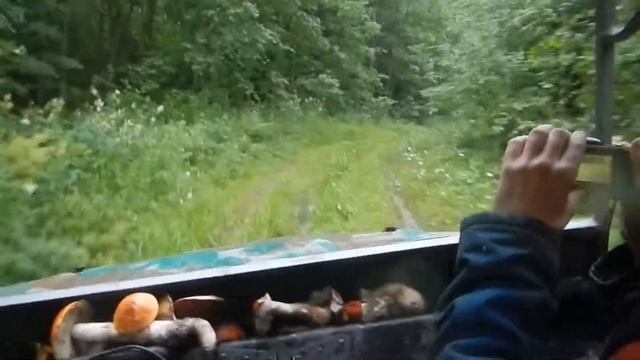 покатушка смотреть онлайн