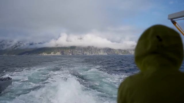 отзыв Елены смотреть онлайн