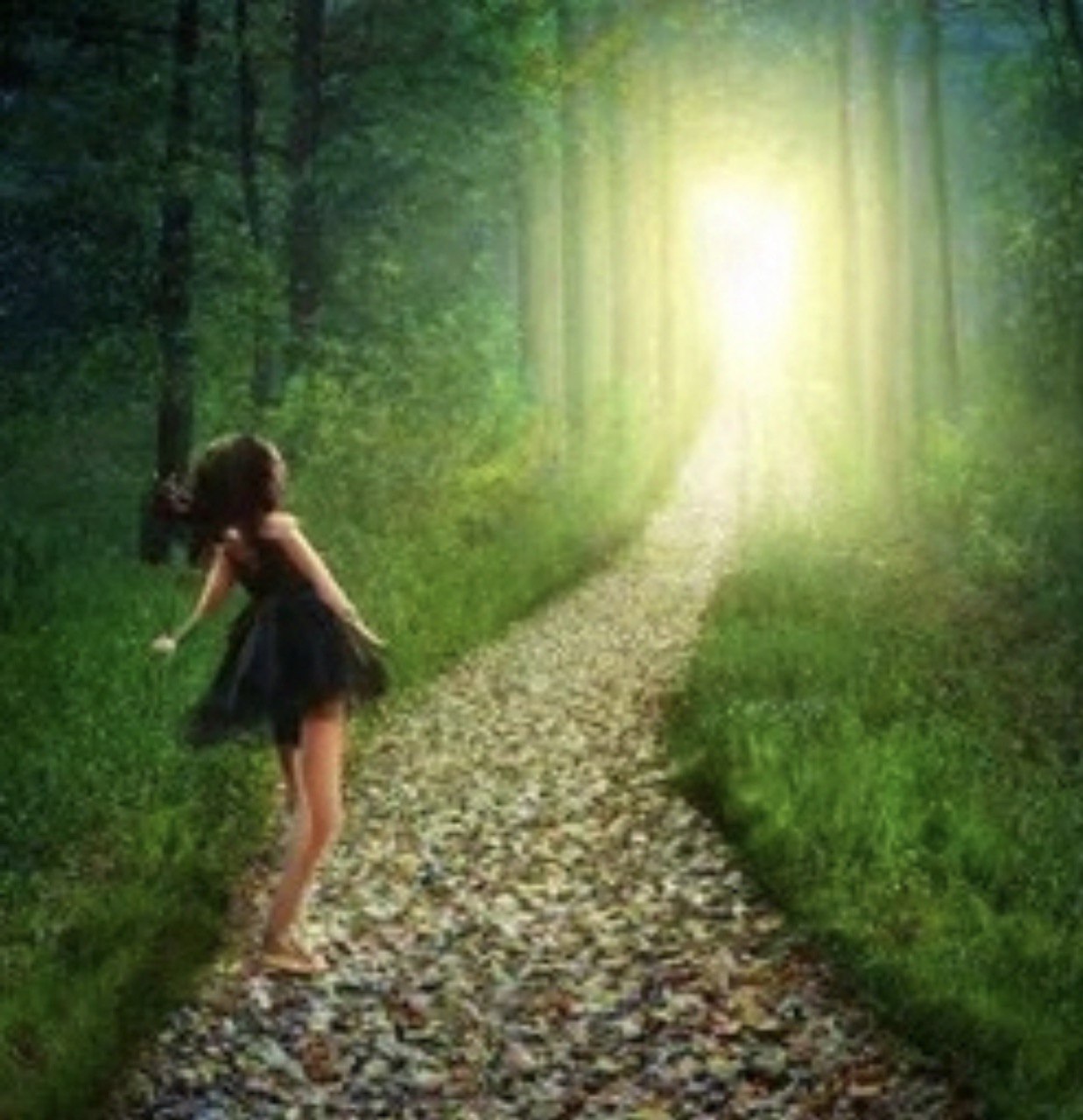 РЕГРЕСС-СЕССИЯ