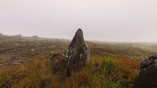 Красиво и приятно глазу . Россошь такси Петрович смотреть онлайн