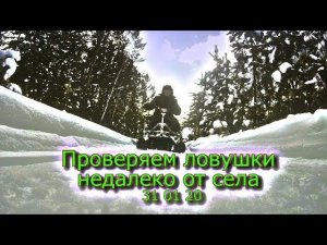 Проверяем ловушки недалеко от села 31 01 20