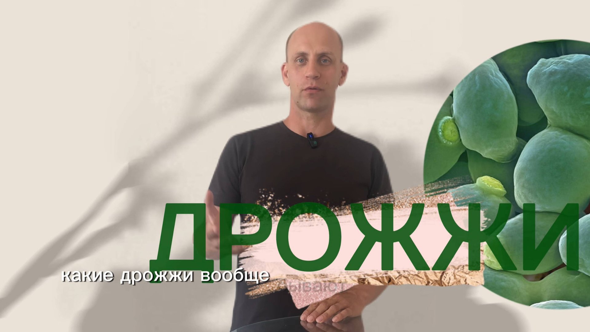 Milty - кормление КРС, кормозаготовка